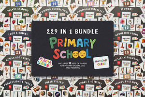 Primary School Flash Cards Bundle