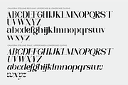 Calvoria Stelline, a Serif Font by Muksal Creative (Thumbnail 9 of 10)