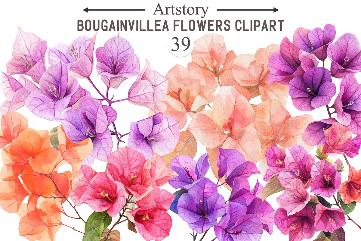 Bougainvillea Flowers Clipart Bundle, an Illustration by designcity5 (Photo 1 of 5)