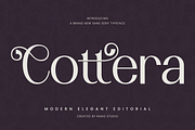Cottera Modern Editorial Sans Font, a Sans Serif Font by Rasio Studio (Thumbnail 1 of 10)
