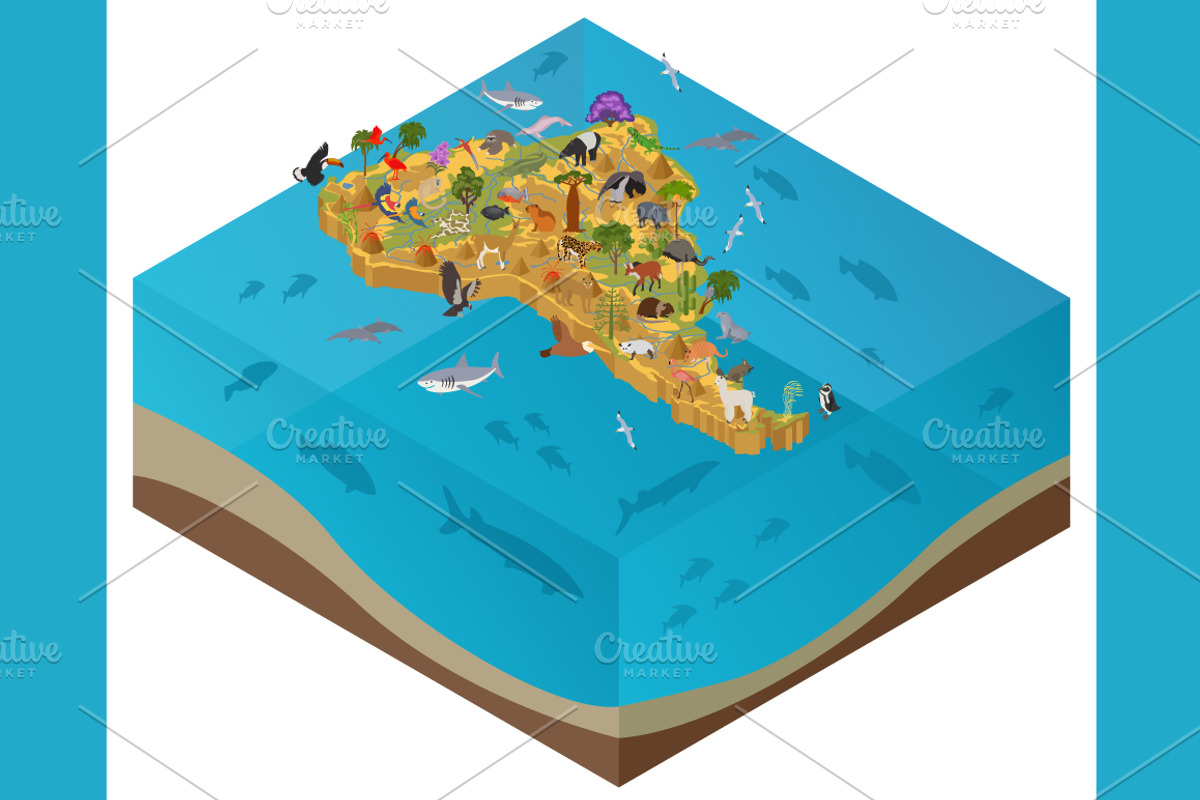 South America isometric map, an Animal Illustration by pet design shop (Photo 4 of 5)
