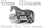 Untitled Wood Type FAMILY PACK, a Serif Font by Intellecta Design (Thumbnail 7 of 7)