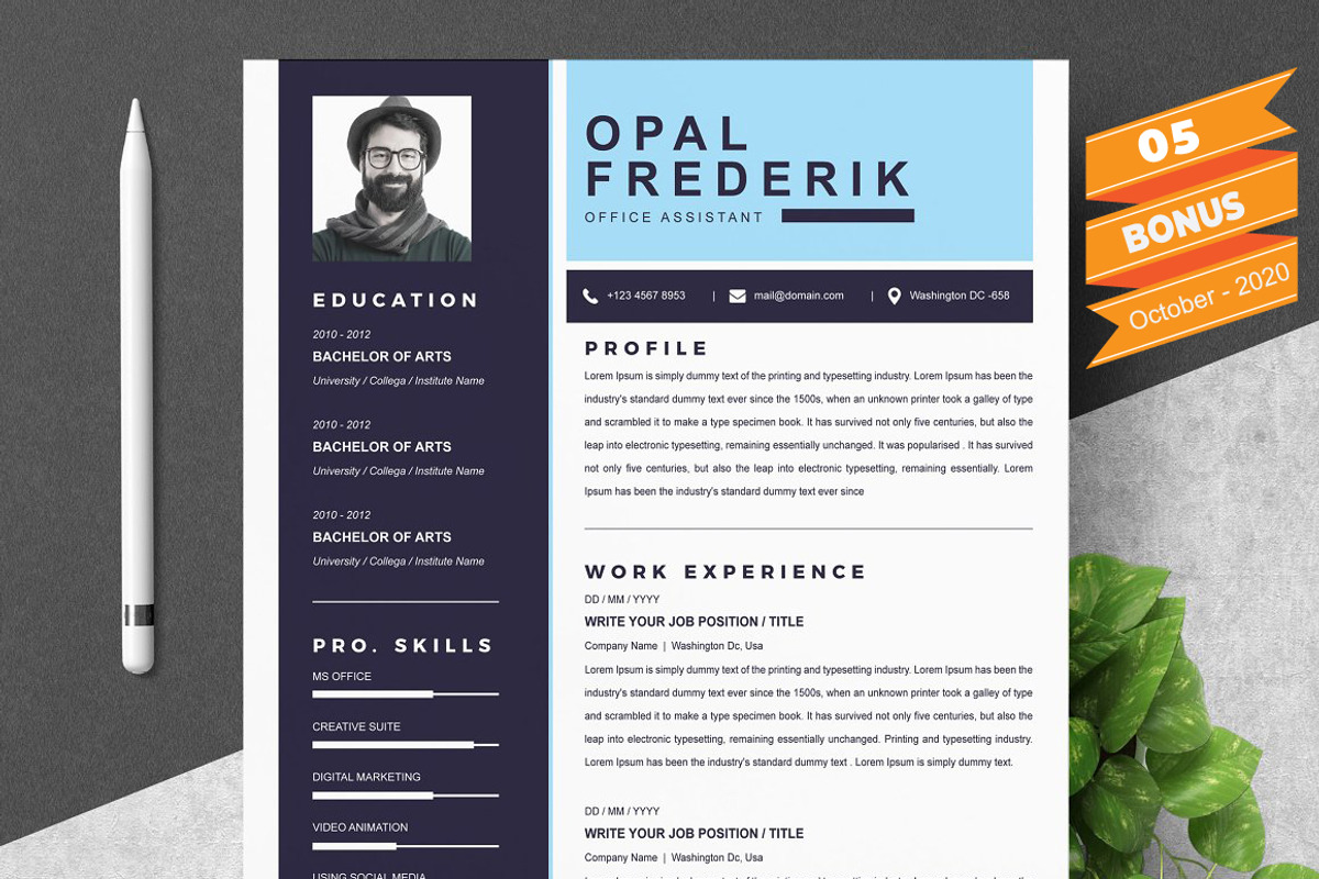 Resume/CV Bundle | 200+ for $29, a Resume Template by ResumeInventor (Photo 141 of 207)