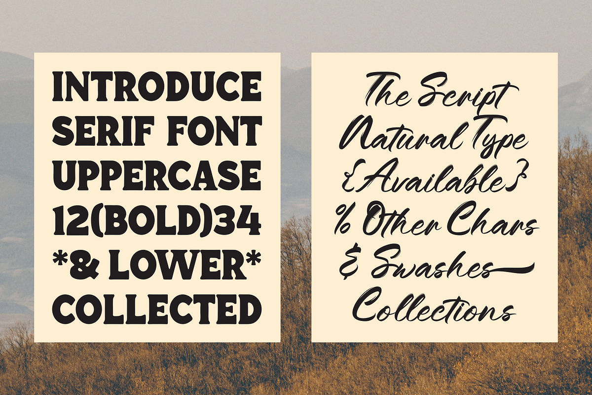 Regal Drownfall Font, a Serif Font by Marvadesign (Photo 4 of 8)