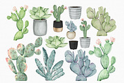 Watercolor Cactus PNG Clipart Set, an Illustration by MiracleArtAndDesign (Thumbnail 2 of 4)