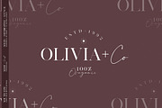 South Epic Dream Font Duo + Logos, a Serif Font by SNIPESCIENTIST (Thumbnail 10 of 32)