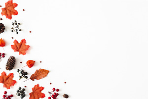 Autumn background containing autumn, background, and fall