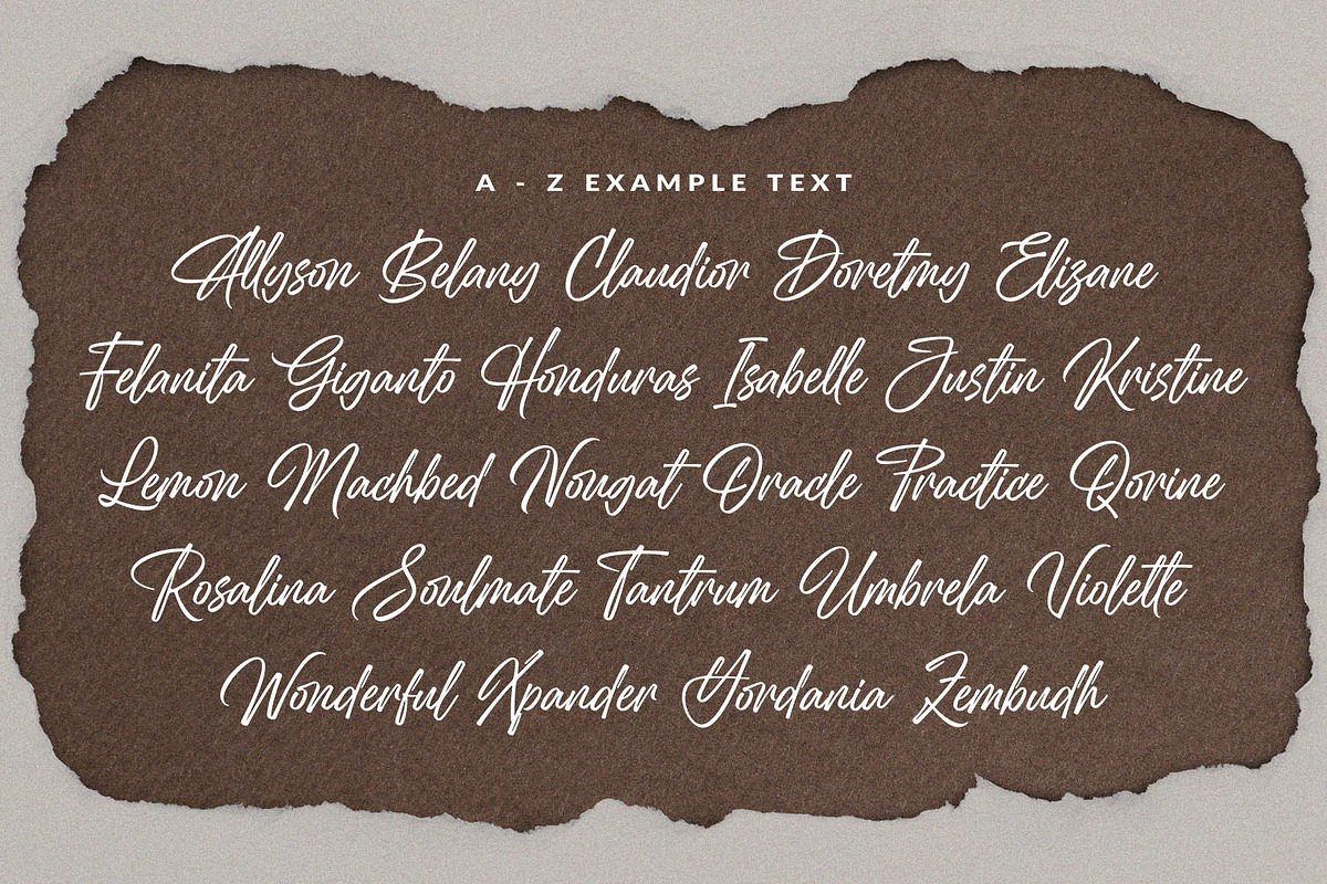 Elegant Signature Font - Antaresia, a Script Font by Subectype Studio (Photo 3 of 9)