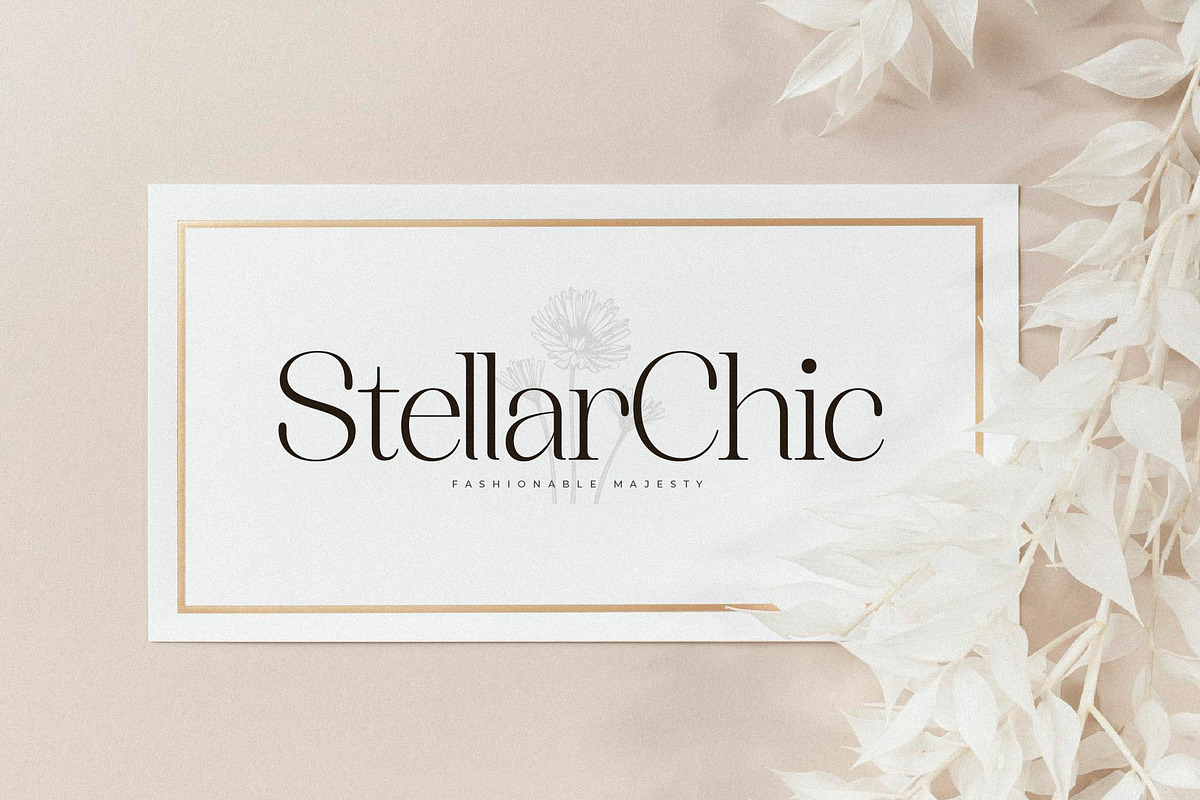 Asthelica Questak Modern Font Duo, a Serif Font by Storytype Studio (Photo 6 of 15)