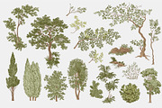 Woodland, a Decorative Illustration by olga.korneeva (Thumbnail 4 of 12)
