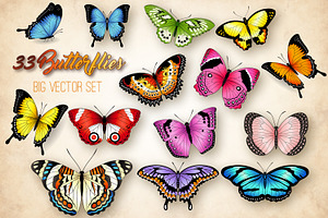 Vector Butterflies Illustrations