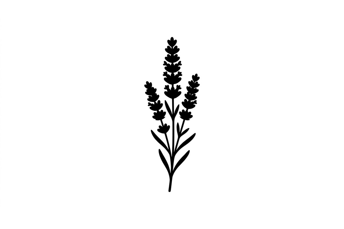 Lavender Botanical Silhouette Set, an Object Graphic by Designs_River (Photo 2 of 3)