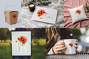 Birth Month Flower Clipart Bundle, an Illustration by PaintPixelCo (Thumbnail 14 of 14)