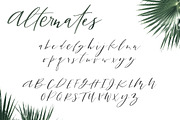 San Clemente | A Carefree Script, a Script Font by Jen Wagner Co (Thumbnail 8 of 8)