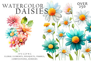 Watercolor Daisies Flowers Clipart
