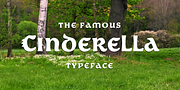 Popelka, a Serif Font by Andreas Stötzner (Thumbnail 10 of 11)