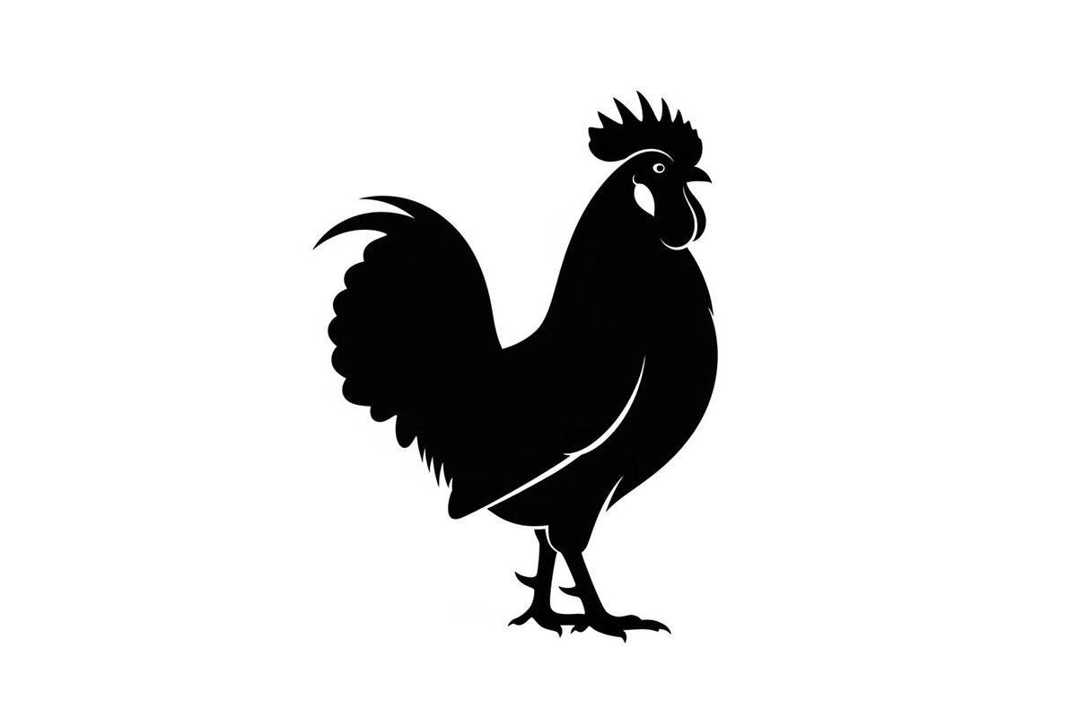 Rooster Chicken Silhouette Bundle, an Illustration by Designs_River (Photo 36 of 51)