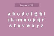 Cicicle Font, a Serif Font by Photoshop Action (Thumbnail 2 of 6)