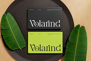 Brilega Fadone | Modern Classy Serif, a Serif Font by Ermedia Studio (Thumbnail 5 of 10)