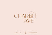 Carla Sans - Elegant Typeface, a Sans Serif Font by Creative Corner (Thumbnail 11 of 26)