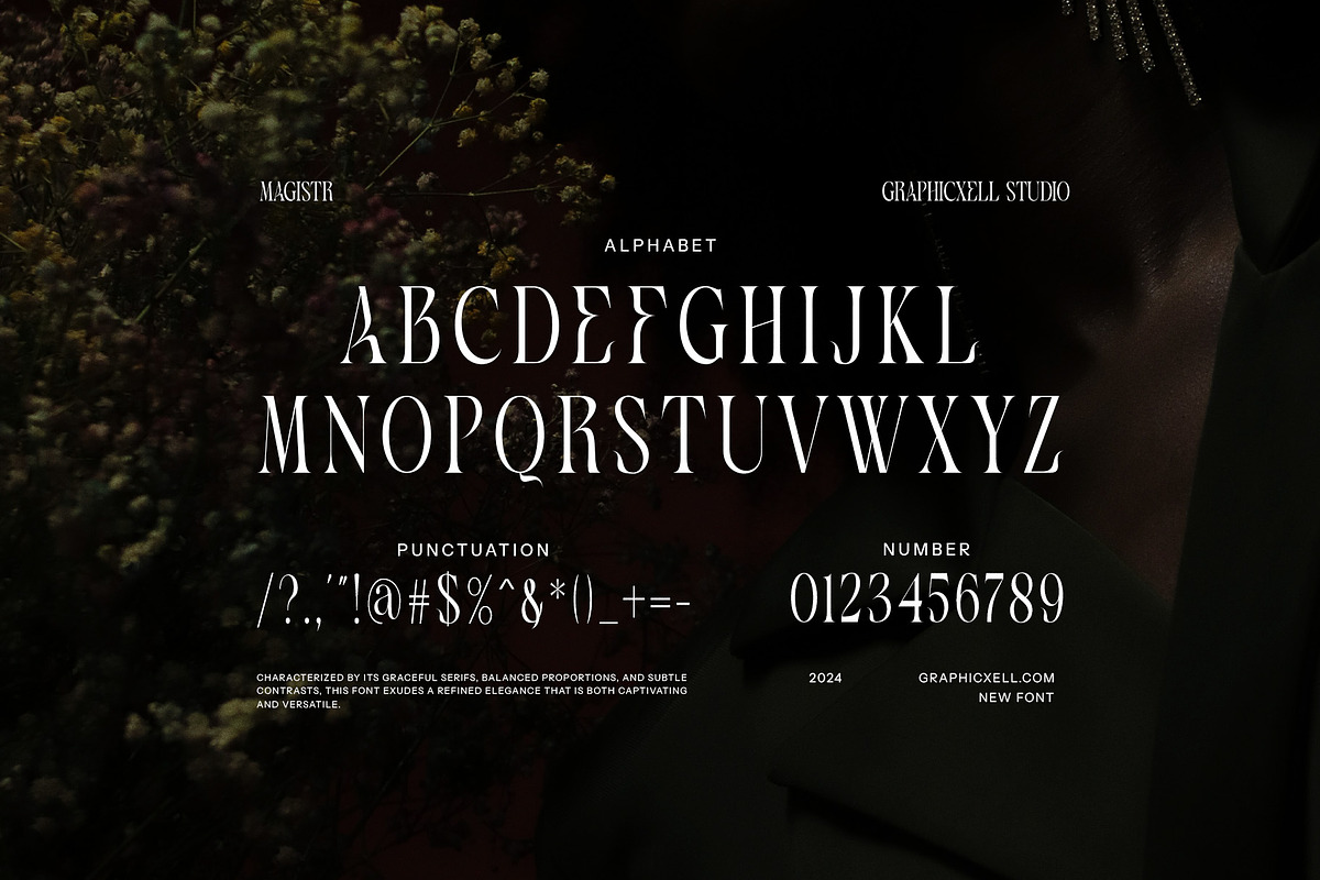 Magistr - Serif Font, a Serif Font by Graphicxell (Photo 8 of 8)