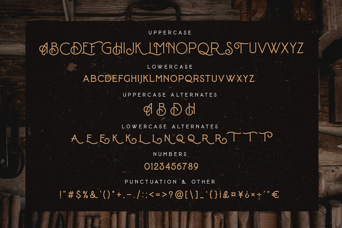 Baroneys - Vintage Typeface, a Sans Serif Font by sancreastd. (Photo 11 of 11)