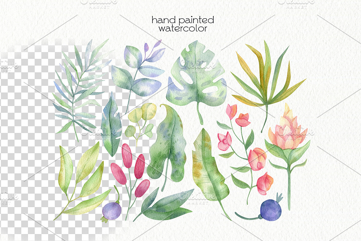 Watercolor Flowers Bundle, an Illustration by OllyKo Art (Photo 10 of 15)