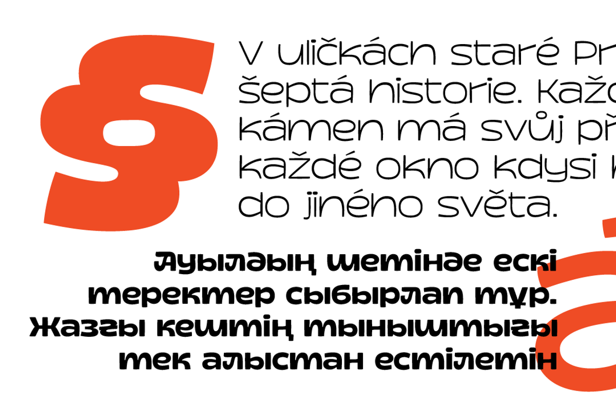 Choowee Variable, a Sans Serif Font by TypeMate (Photo 5 of 12)
