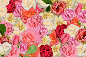 A lush background of a variety of vibrant roses and tulips, a Nature Photo by ndanko