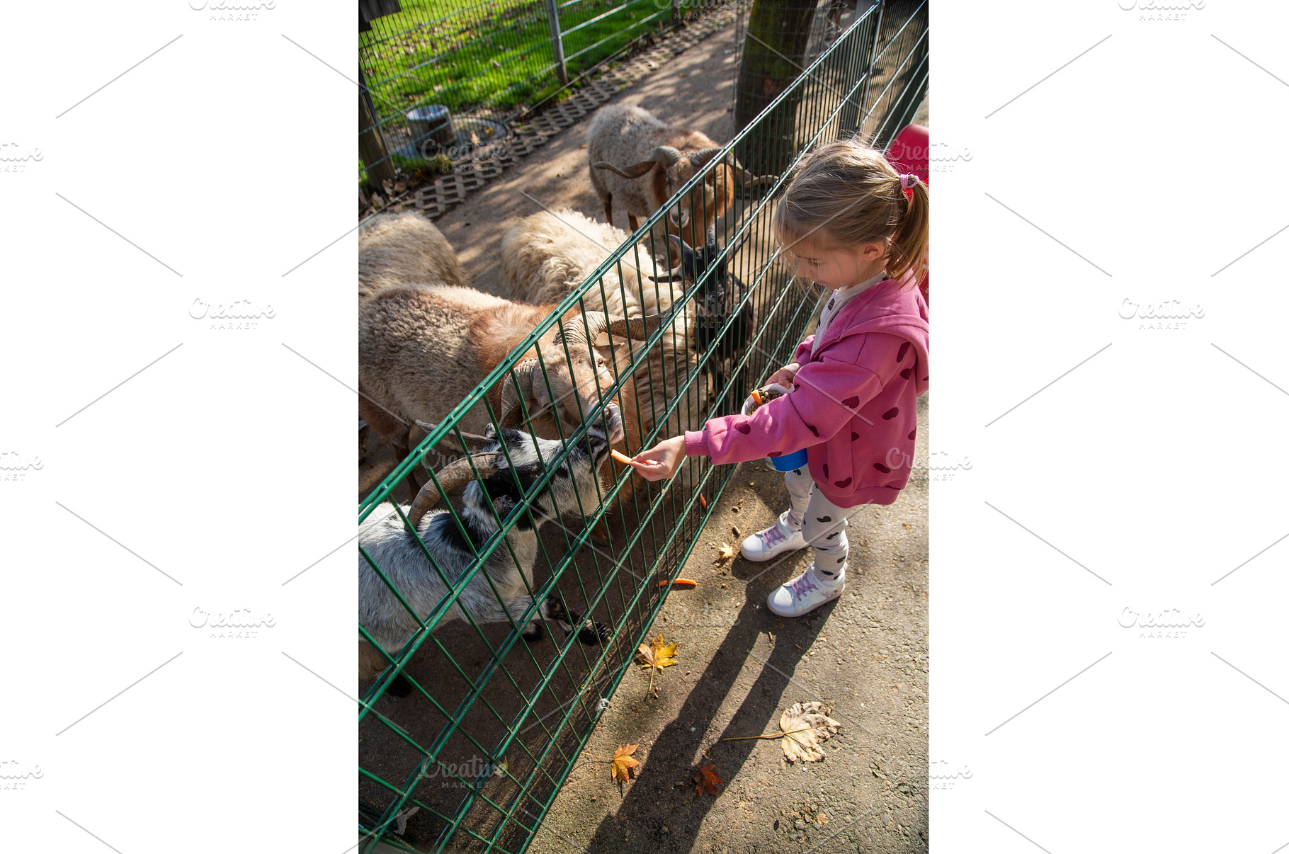 Adorable cute preschool girl feeding, an Animal Photo by MadPhotos