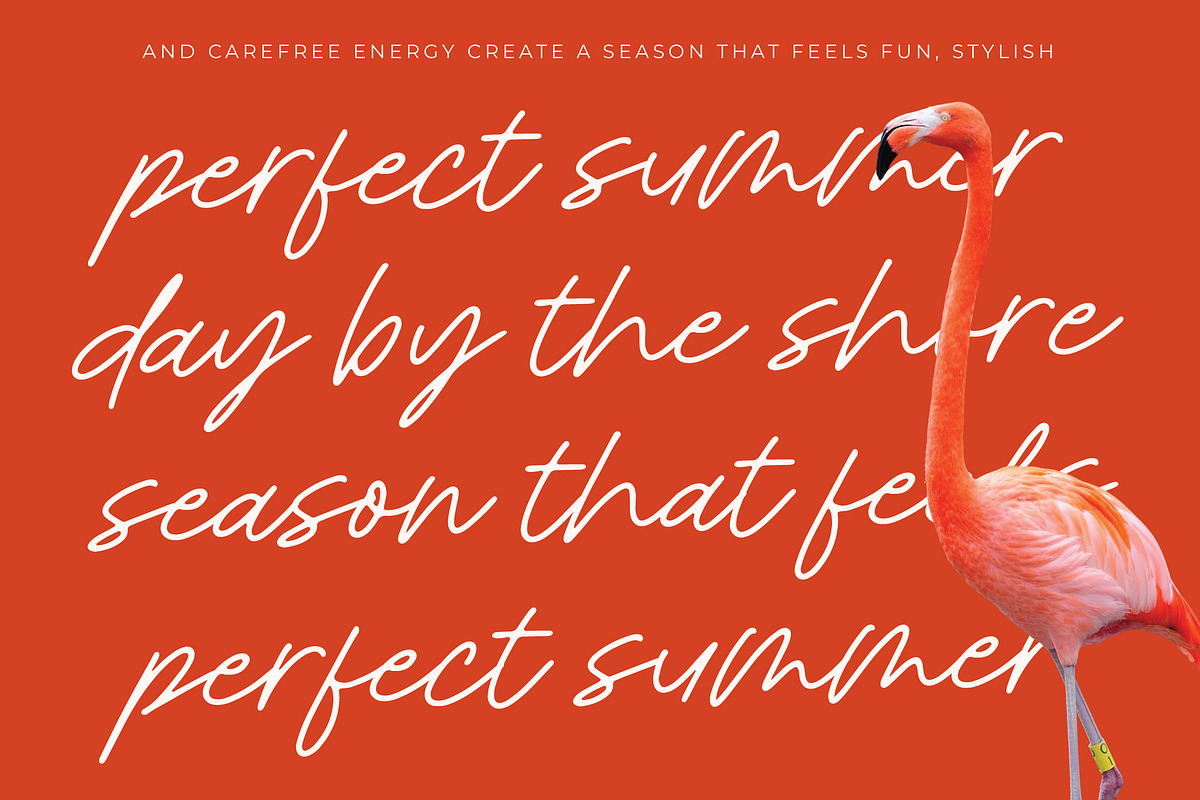 Royal Spark - Handwritten Ink Font, a Script Font by Letterena Studios Script (Photo 6 of 20)