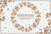 Edelweiss Watercolor Collections, an Illustration by Soir Creative (Thumbnail 1 of 5)