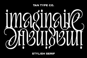 TAN - IMAGINAIRE, a Serif Font by TanType