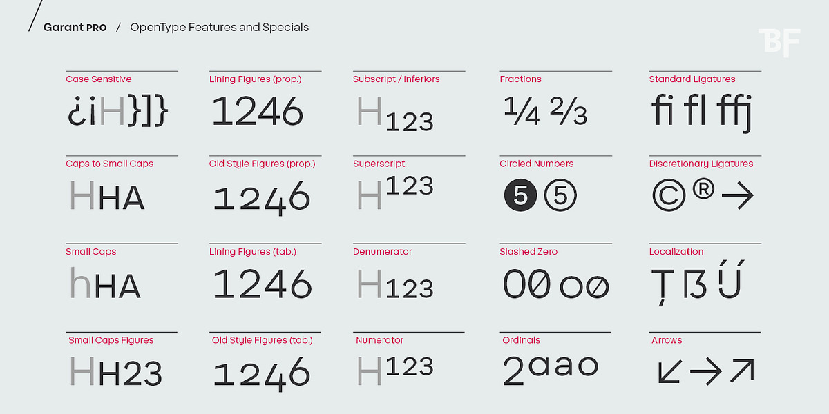 BF Garant Pro, a Sans Serif Font by BrassFonts (Photo 8 of 12)