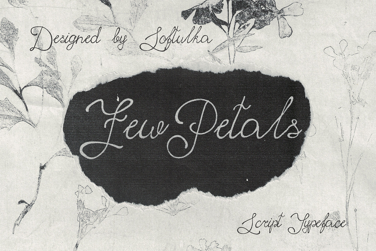 Few Petals. Dreamy Script Typeface, a Script Font by softulka (Photo 7 of 7)
