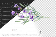 Lavender Watercolor Clipart, an Object Illustration by CaraulanStore (Thumbnail 7 of 9)
