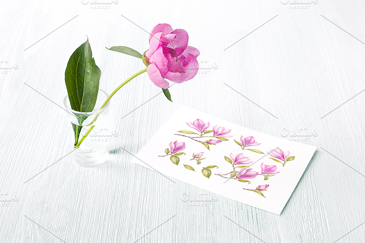 Watercolor of Blooming Magnolia, a Decorative Illustration by Kotkoa (Photo 3 of 5)
