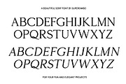 Harmony | Serif Font, a Font by Supersimbo © (Thumbnail 8 of 9)