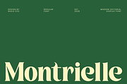 Montrielle Modern Editorial Font, a Serif Font by Rasio Studio (Thumbnail 1 of 9)