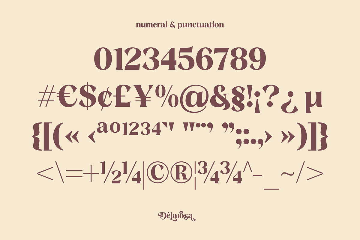 Delarosa - A Decorative Serif, a Serif Font by agnyhasyastudio (Photo 14 of 17)