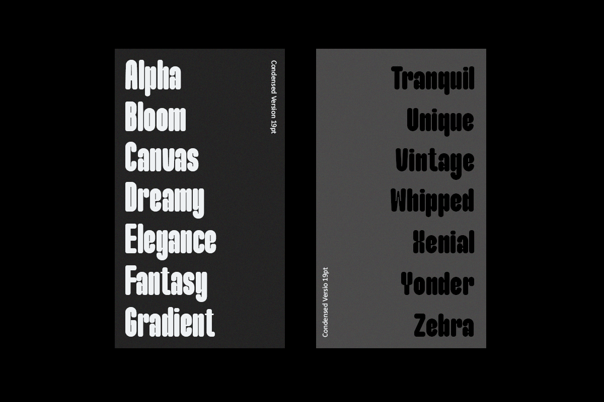 Maximalis, a Sans Serif Font by Say Studio (Photo 6 of 13)