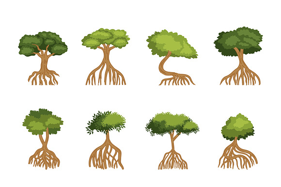 Mangroves Trees Illustration Set