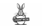 Cute Bunny Coffee Cup Vector Bundle, an Illustration by Designs_River (Thumbnail 32 of 49)