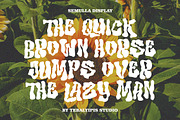 Semulla - Trippy Liquid Font, a Handwritten Font by tebaltipislab (Thumbnail 2 of 10)