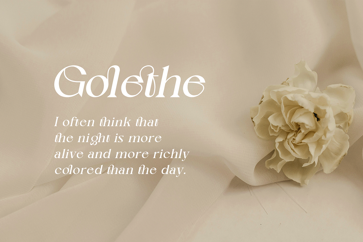 Nagishe Soinetha Moderen & Elegance, a Serif Font by BOOSH Studio (Photo 3 of 13)