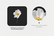 250+ Elements - Collage Creator Pack, an Object Graphic by Digi Life (Thumbnail 6 of 32)