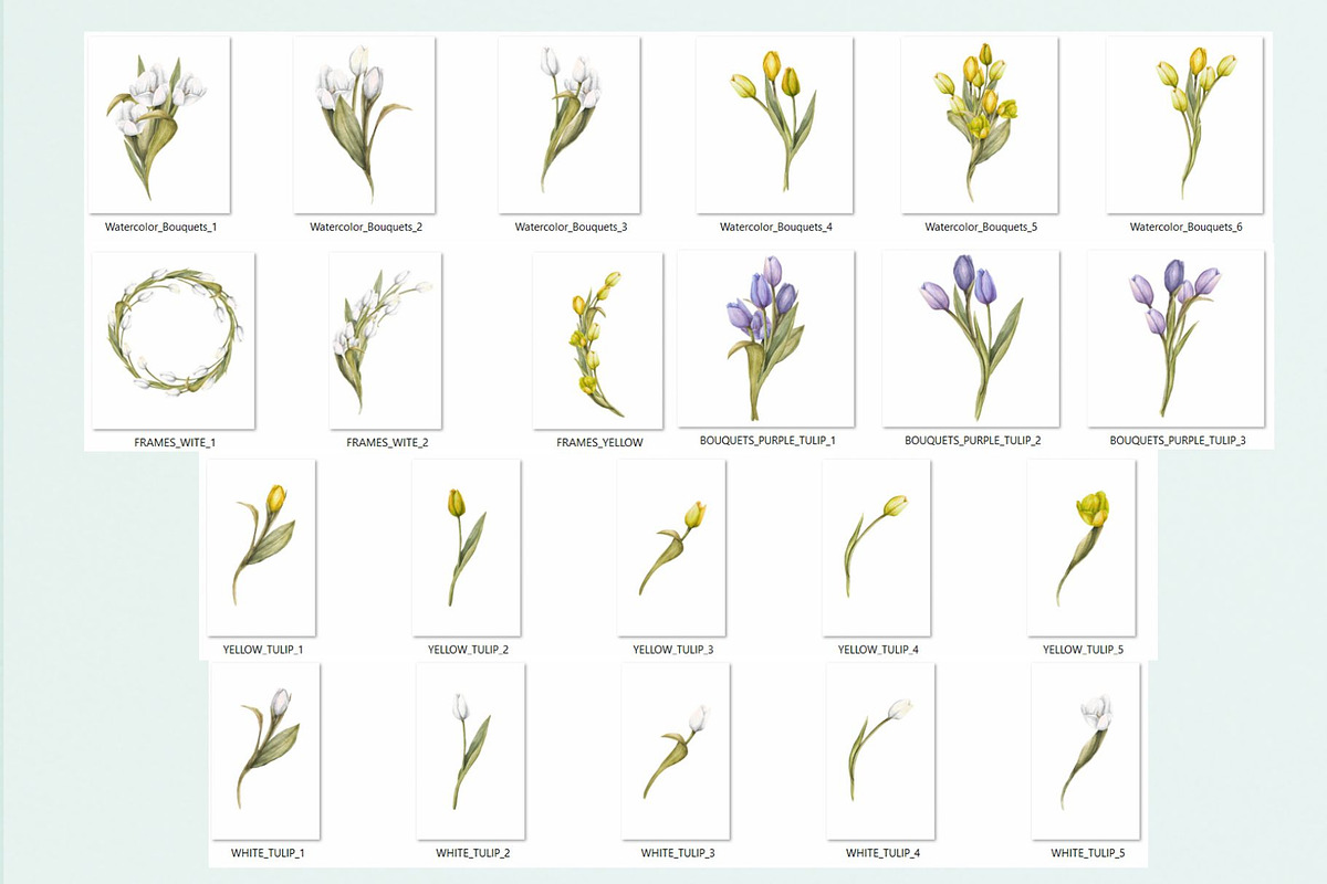 Spring Whispers - Watercolor Tulips, an Object Graphic by NatalieArtsDenysenko (Photo 3 of 7)