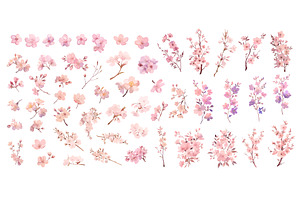 Watercolor cherry blossom set. Pink, an Object Illustration by Stock-Smart-Start
