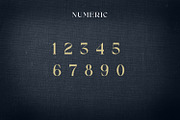 Alibold, a Serif Font by Rishsketch (Thumbnail 11 of 14)