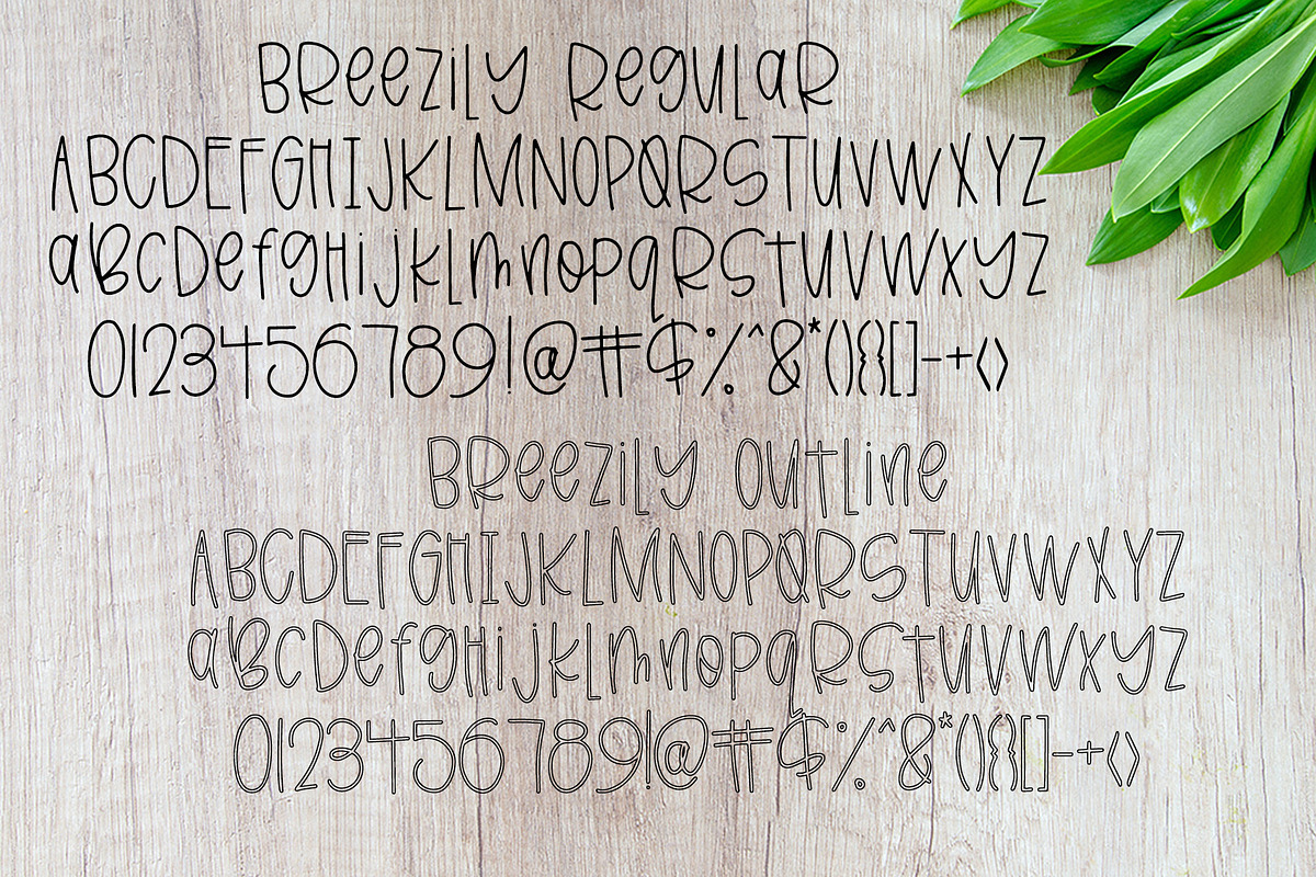 Breezily, a Sans Serif Font by Affinity Grove (Photo 9 of 11)